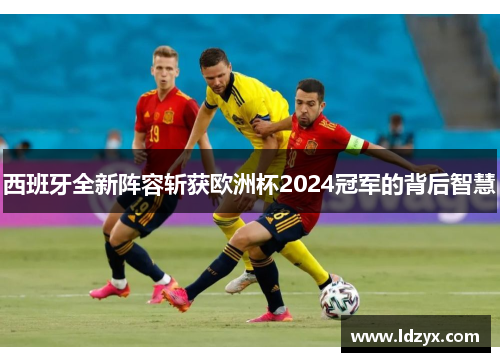 西班牙全新阵容斩获欧洲杯2024冠军的背后智慧