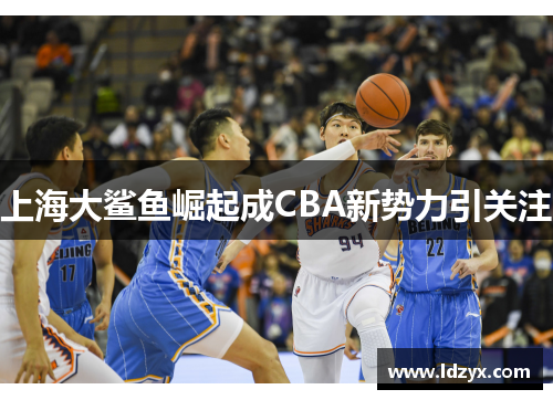 上海大鲨鱼崛起成CBA新势力引关注
