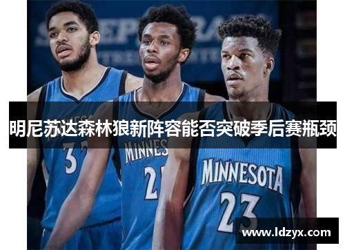 明尼苏达森林狼新阵容能否突破季后赛瓶颈